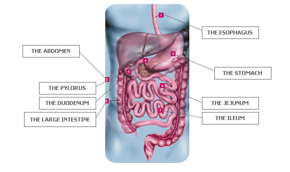 best laparoscopy hospital in anand